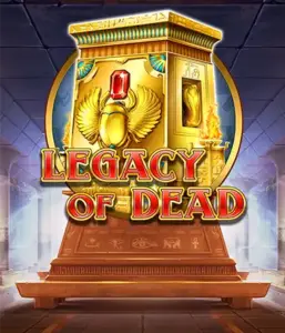 Try the Legacy of Dead slot by Play'n GO featuring complimentary spins and expanding symbols, starting at $0.10 bets.